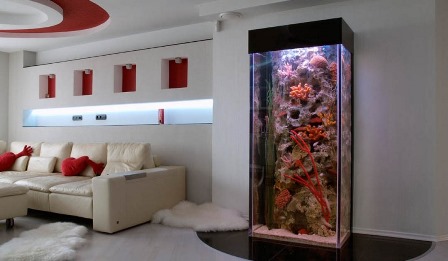 aquarium_interior1.jpg (37 KB)